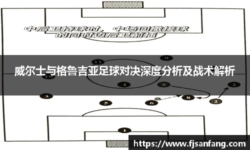 三亿威尔士与格鲁吉亚足球对决深度分析及战术解析